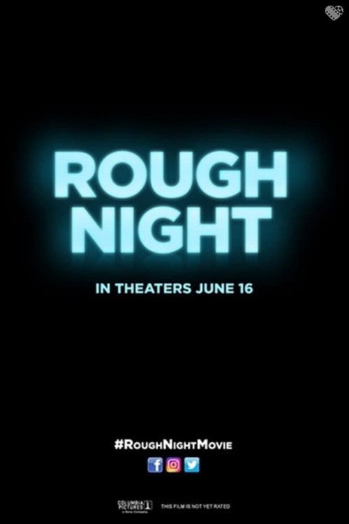 دانلود فیلم Rough Night 2017